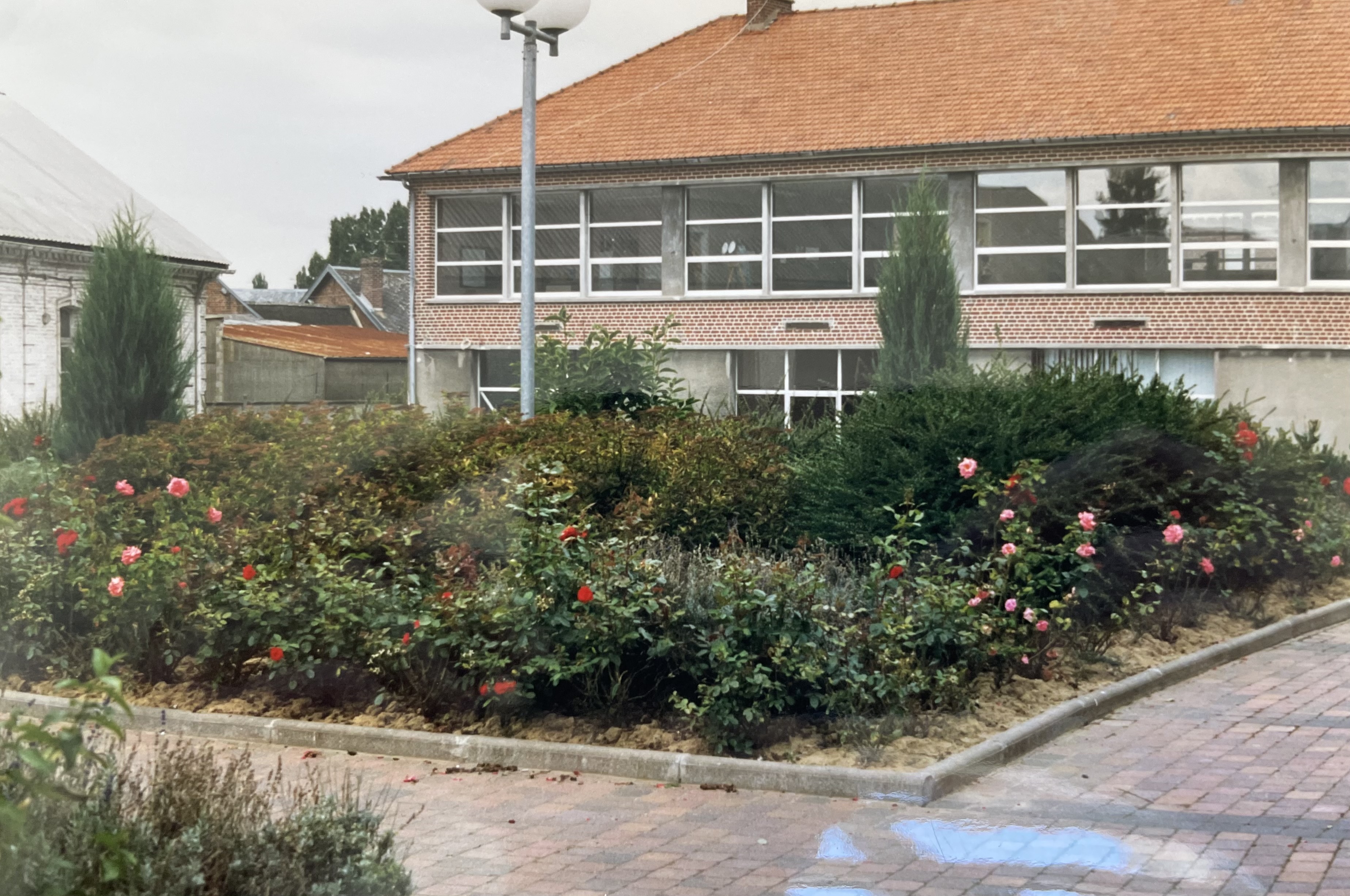 Fleurissement des rues (1)
