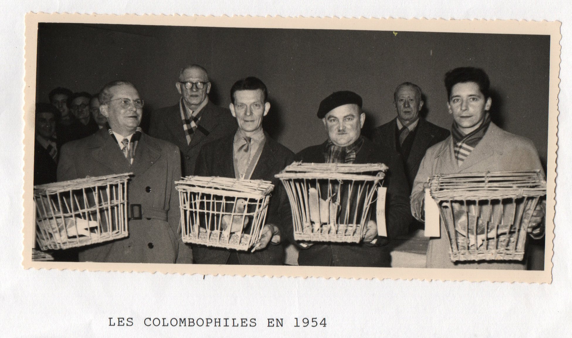 Société colombophile