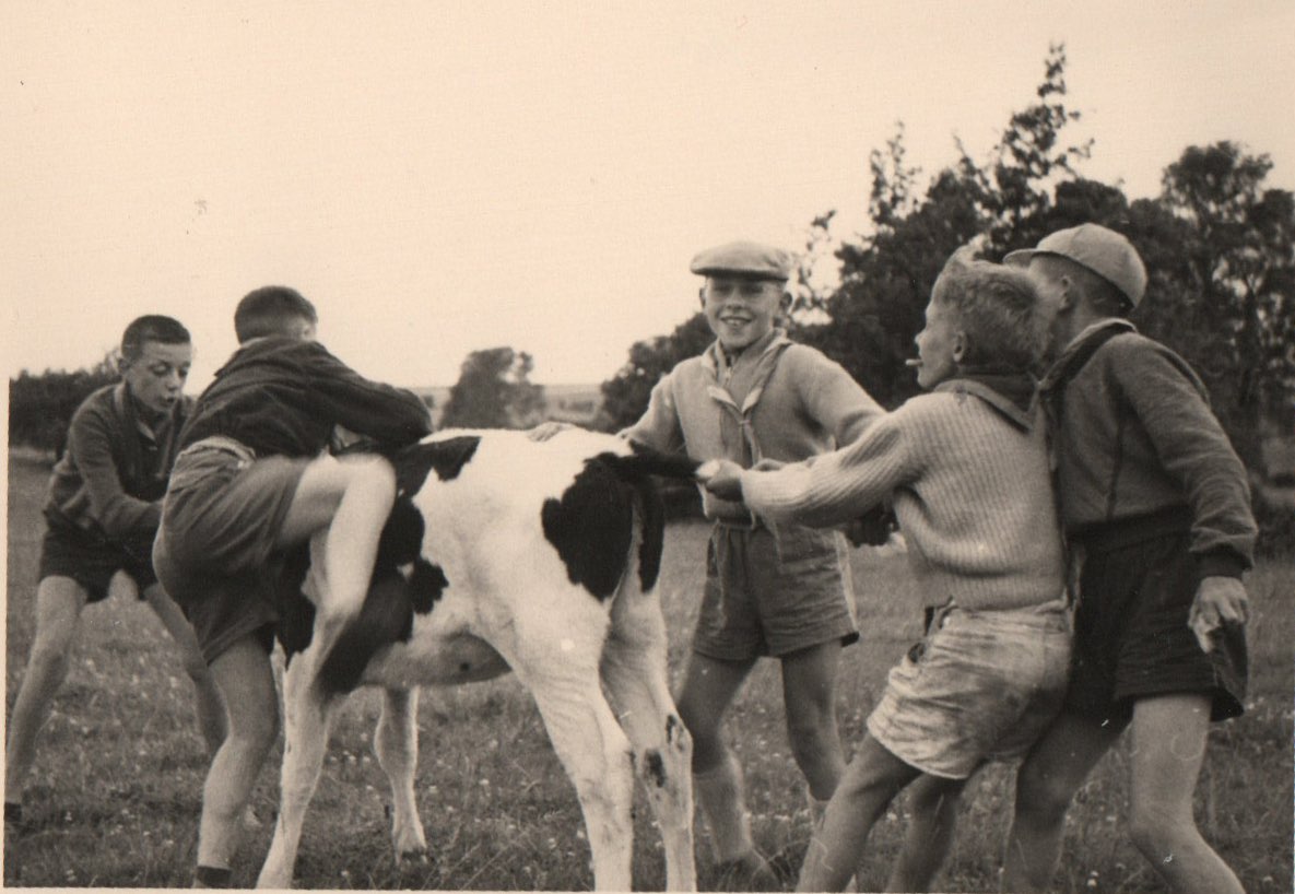 Enfants dans la nature