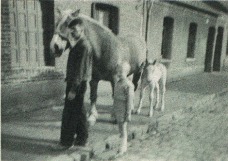 Agriculture