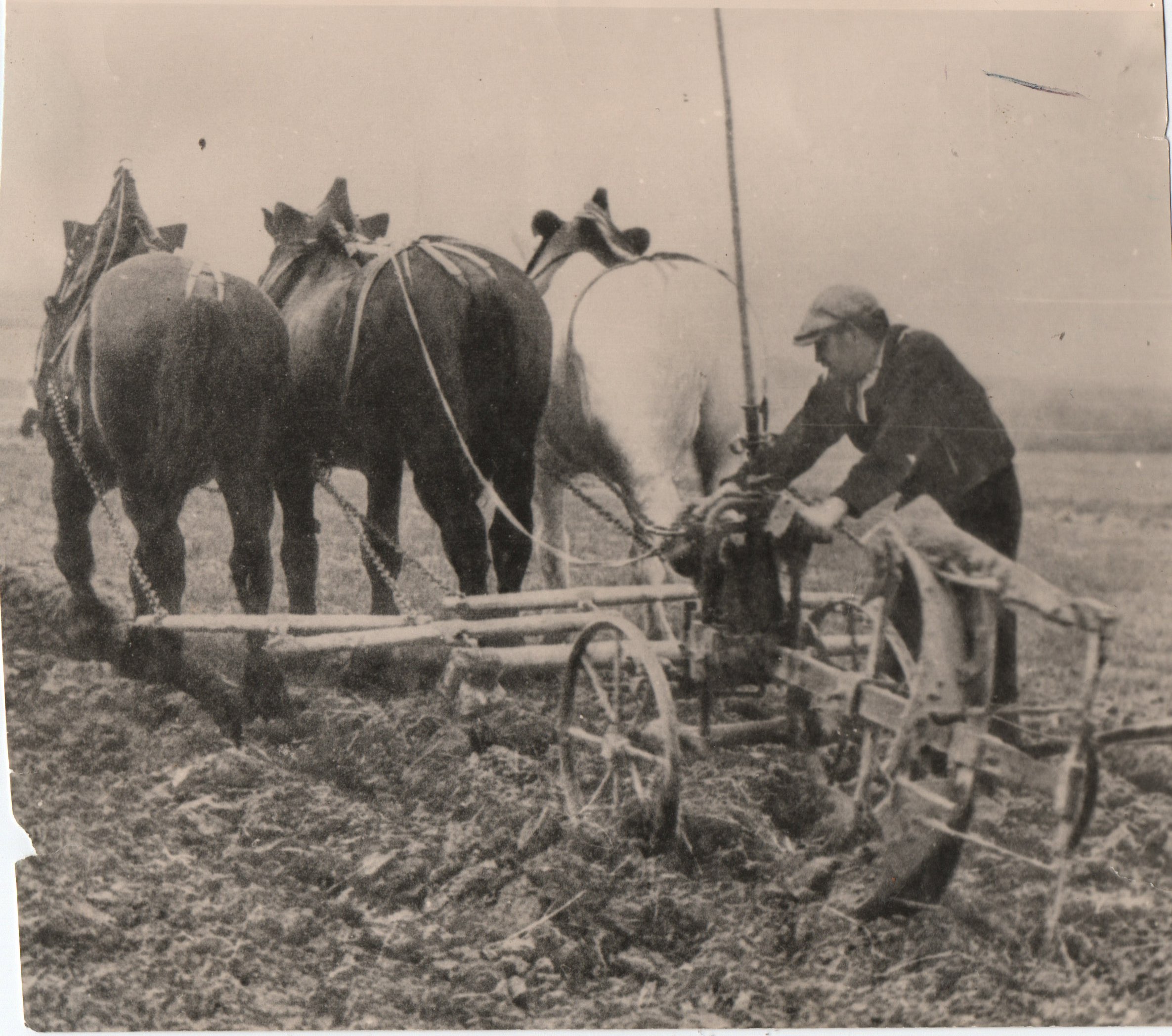 Agriculture