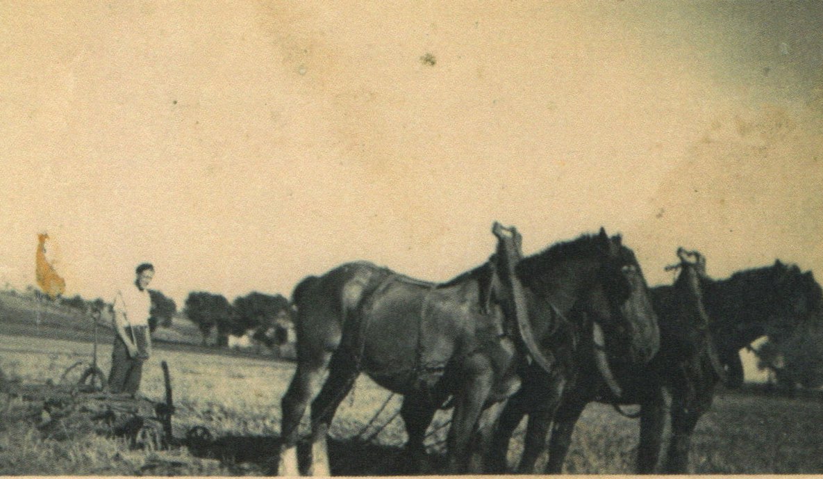 Agriculture