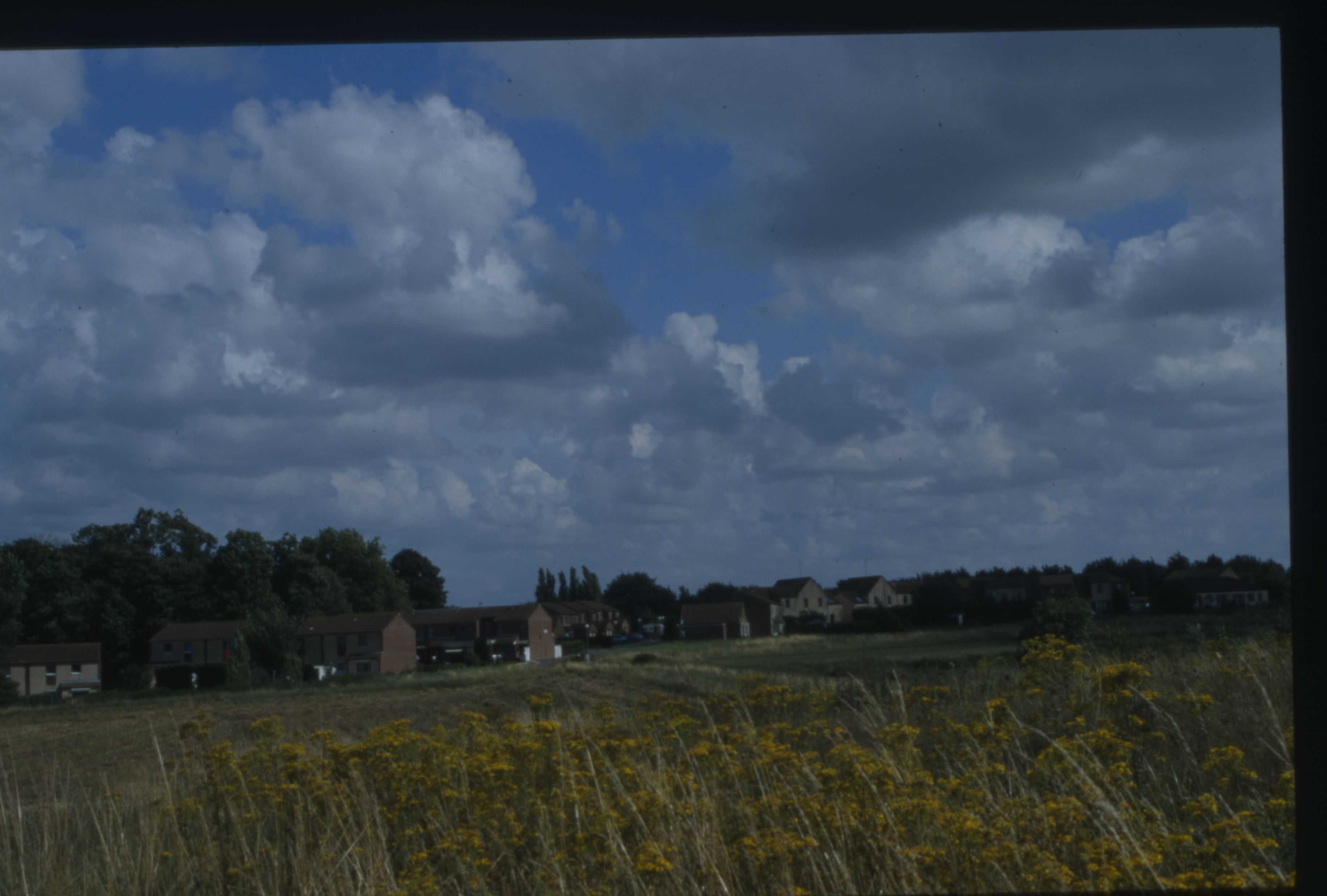 Vue panoramique de la Cité Fleurie
