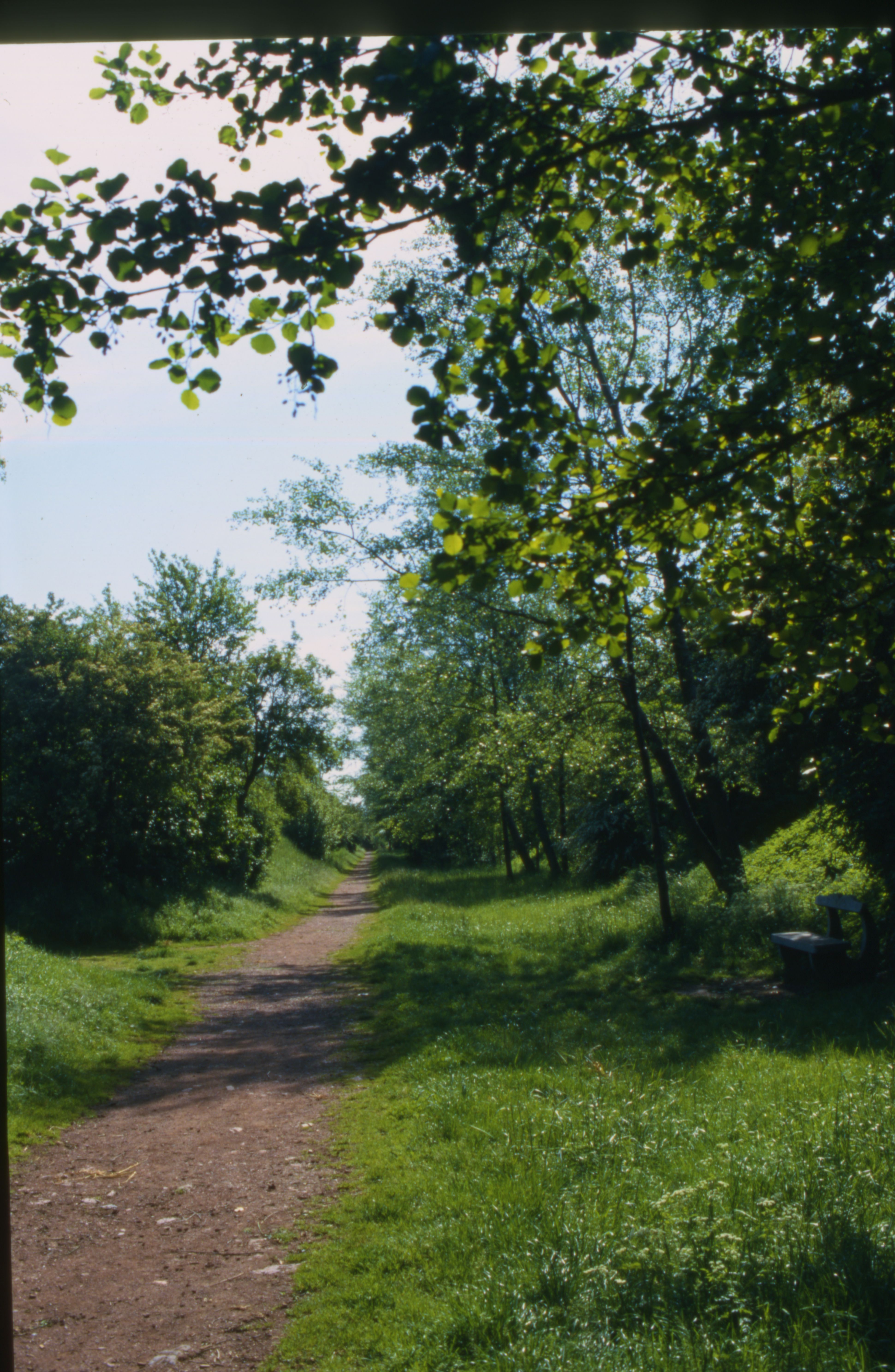 L'ancienne ligne de chemin de fer devenue un sentier de randonné (2)
