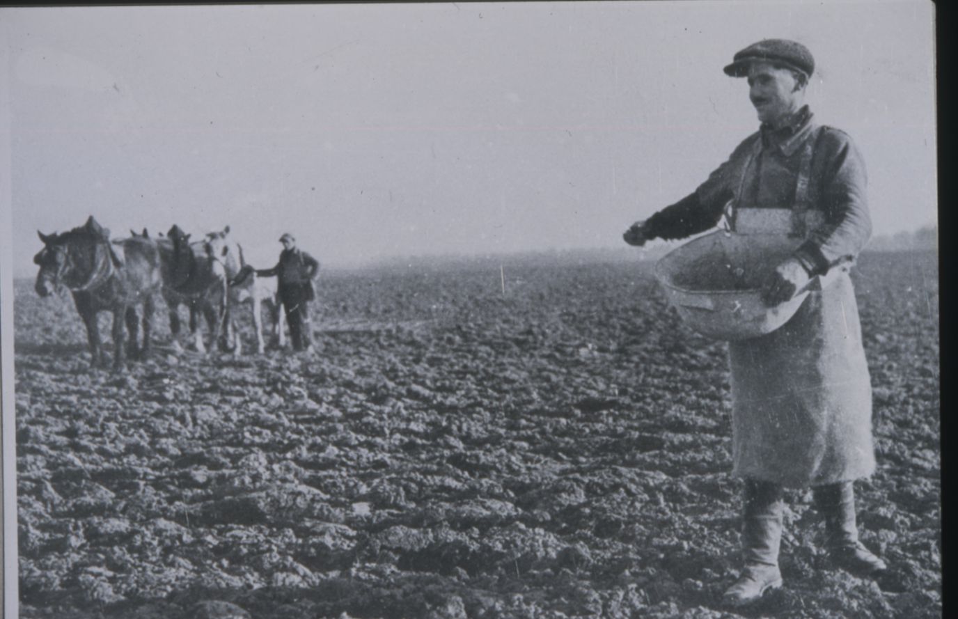 Agriculture (1)