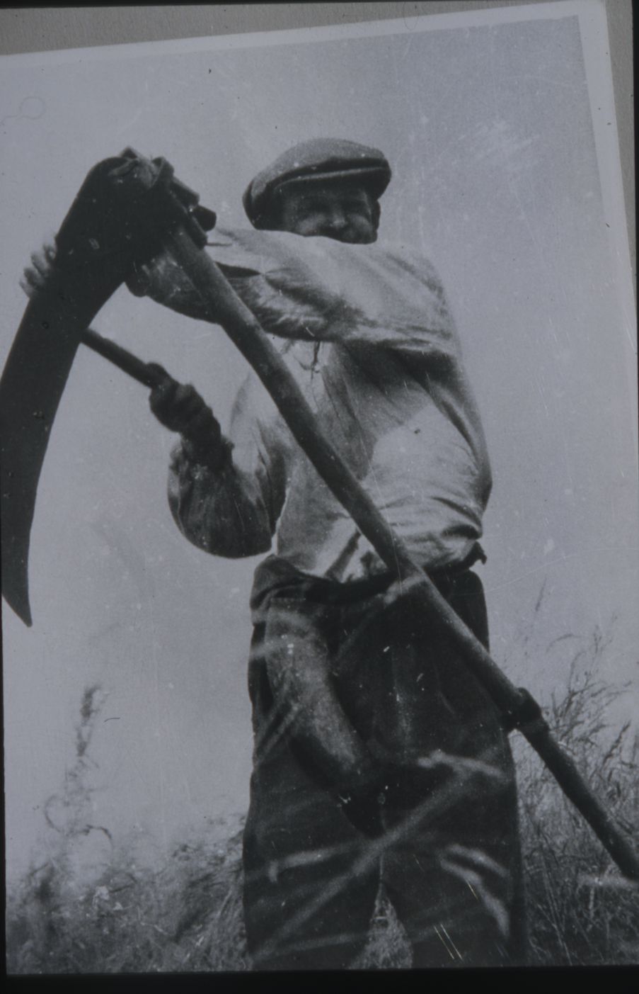 Agriculture (2)