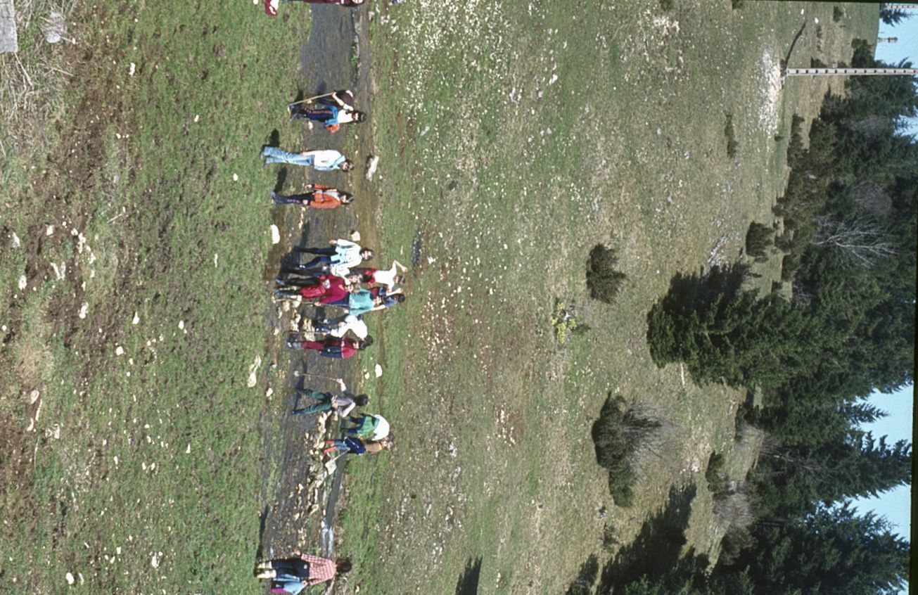 Les Grangettes (1)