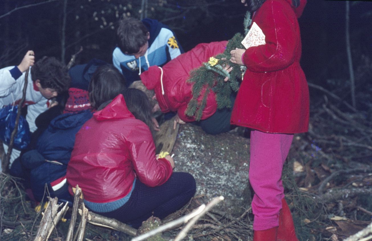 Les Grangettes (76)