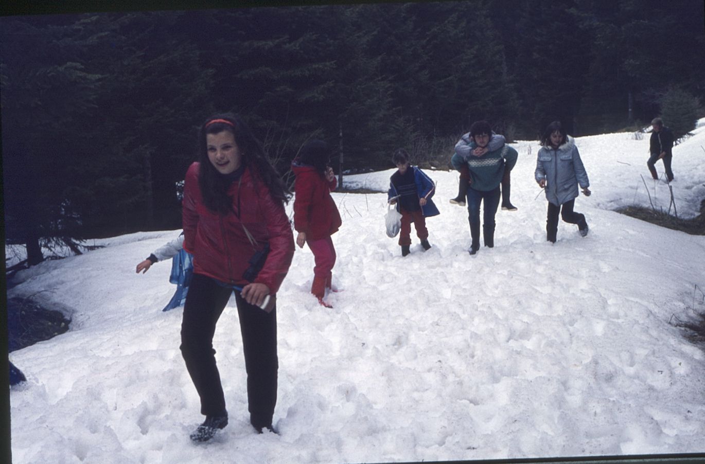 Les Grangettes (82)