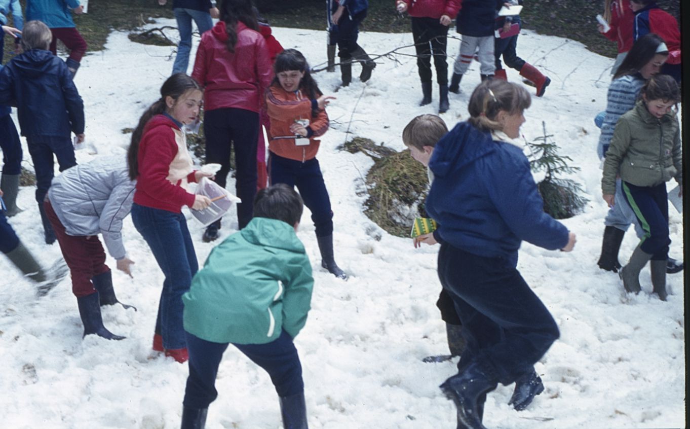 Les Grangettes (85)